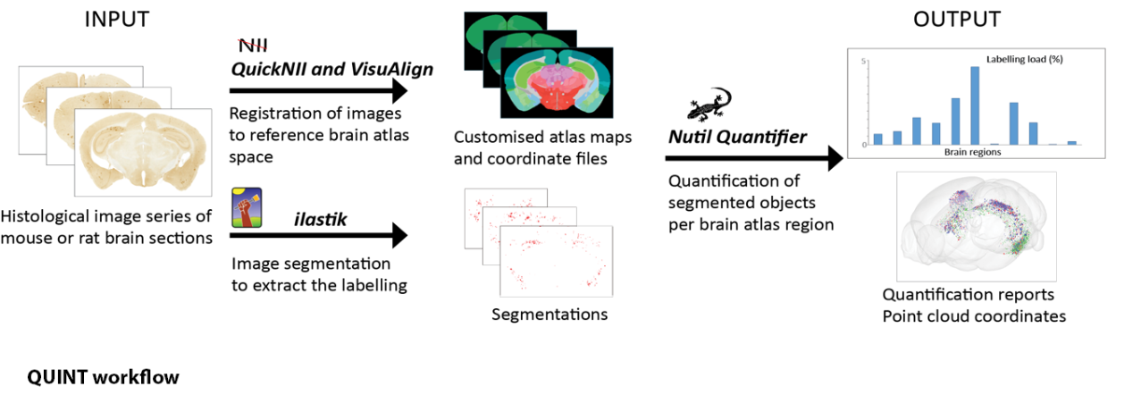 QUINT_workflow_Plaques.png